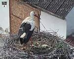 Capi_Dubne_20250524_144002.jpg