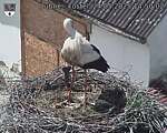 Capi_Dubne_20250524_145002.jpg