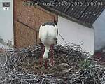Capi_Dubne_20250524_150004.jpg