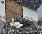 Capi_Dubne_20250524_150503.jpg