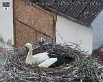 Capi_Dubne_20250524_151004.jpg