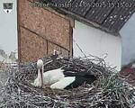 Capi_Dubne_20250524_151502.jpg
