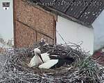 Capi_Dubne_20250524_152002.jpg