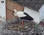 Capi_Dubne_20250524_153002.jpg