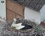 Capi_Dubne_20250524_153504.jpg