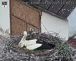 Capi_Dubne_20250524_154002.jpg