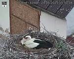 Capi_Dubne_20250524_155004.jpg