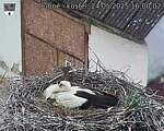 Capi_Dubne_20250524_160002.jpg