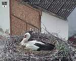 Capi_Dubne_20250524_160504.jpg