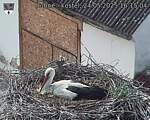 Capi_Dubne_20250524_161504.jpg