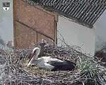 Capi_Dubne_20250524_162003.jpg
