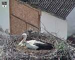 Capi_Dubne_20250524_162503.jpg