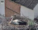 Capi_Dubne_20250524_163504.jpg