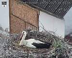 Capi_Dubne_20250524_164504.jpg
