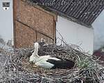 Capi_Dubne_20250524_165004.jpg