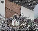 Capi_Dubne_20250524_170503.jpg