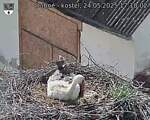 Capi_Dubne_20250524_171002.jpg