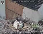 Capi_Dubne_20250524_172003.jpg