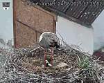 Capi_Dubne_20250524_172502.jpg