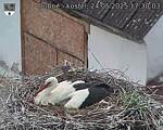 Capi_Dubne_20250524_173003.jpg
