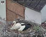 Capi_Dubne_20250524_173503.jpg