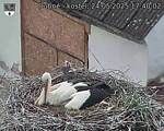 Capi_Dubne_20250524_174002.jpg