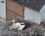 Capi_Dubne_20250524_174504.jpg