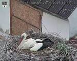 Capi_Dubne_20250524_175503.jpg