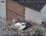 Capi_Dubne_20250524_180002.jpg