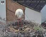 Capi_Dubne_20250524_183004.jpg