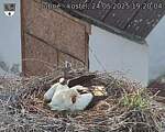 Capi_Dubne_20250524_192004.jpg