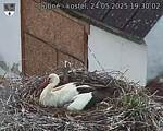 Capi_Dubne_20250524_193002.jpg
