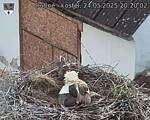 Capi_Dubne_20250524_202002.jpg