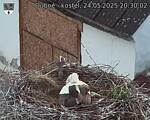 Capi_Dubne_20250524_203002.jpg