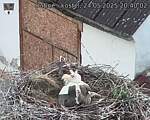 Capi_Dubne_20250524_204003.jpg