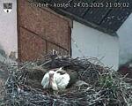 Capi_Dubne_20250524_210502.jpg