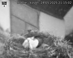 Capi_Dubne_20250524_211502.jpg