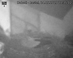 Capi_Dubne_20250524_213502.jpg