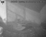 Capi_Dubne_20250524_214003.jpg