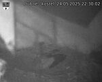 Capi_Dubne_20250524_223002.jpg