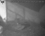 Capi_Dubne_20250524_230503.jpg