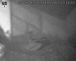 Capi_Dubne_20250524_231003.jpg