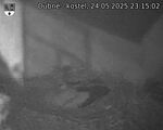 Capi_Dubne_20250524_231502.jpg