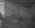 Capi_Dubne_20250524_232003.jpg