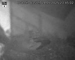 Capi_Dubne_20250524_234502.jpg