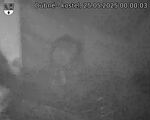Capi_Dubne_20250525_000003.jpg