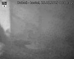 Capi_Dubne_20250525_001002.jpg
