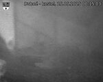 Capi_Dubne_20250525_001503.jpg
