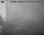 Capi_Dubne_20250525_002003.jpg