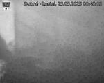 Capi_Dubne_20250525_004503.jpg